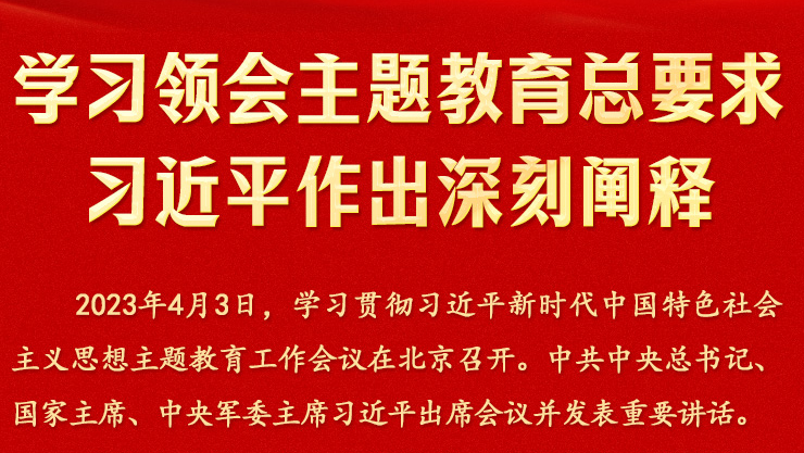 学习领会主题教育总要求 习近平作出深刻阐释